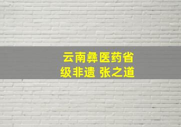 云南彝医药省级非遗 张之道